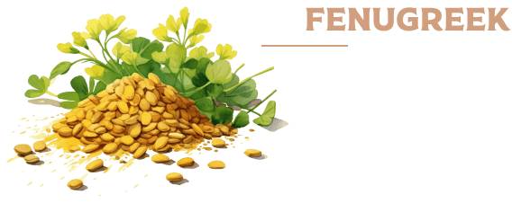 fenugreek