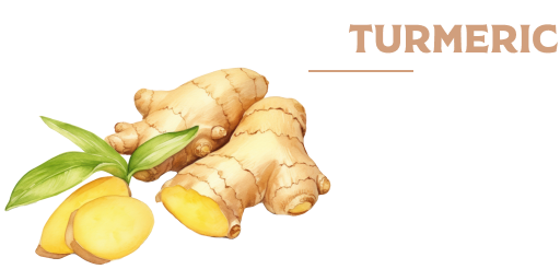 turmeric